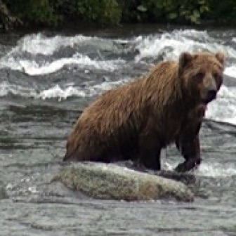 Screen Shot 2016-07-08 at 8.18.24 PM.jpg